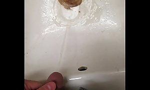 Toilet and sink pee