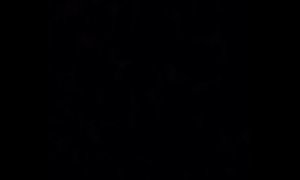 Secret wannabe Kristina Bashams gangbang audio ft. Chandra Birl And Camille Birl with special guest Dogwood Danielle Ecrement Canton Ohio edition